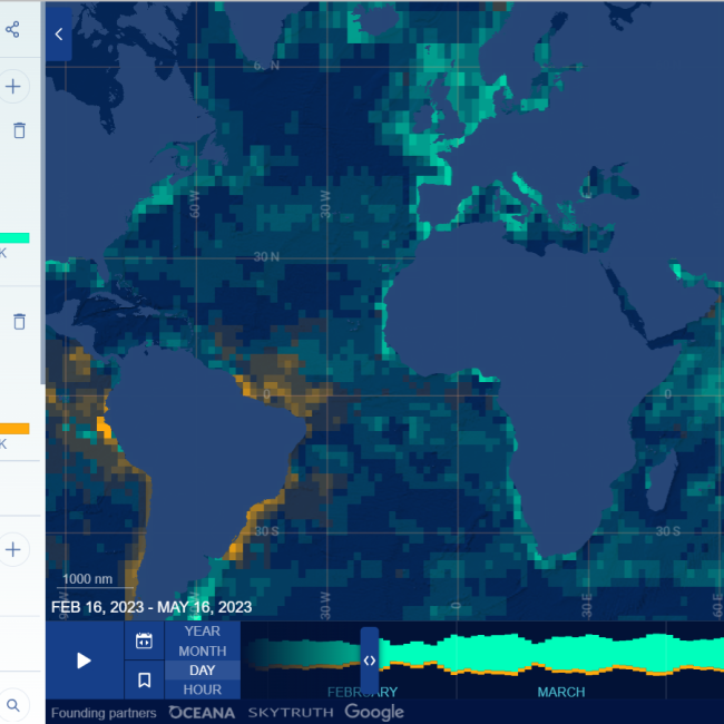 Global Fishing Watch Map